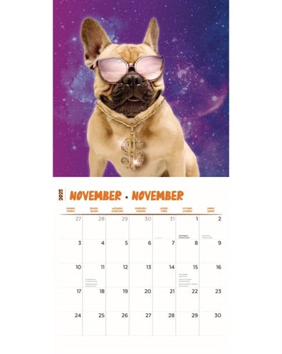 Kalender skøre hunde 2025