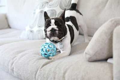 Jw hol-ee rulle trend-ee blå