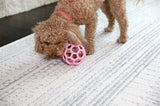 Jw hol-ee rulle trend-ee pink