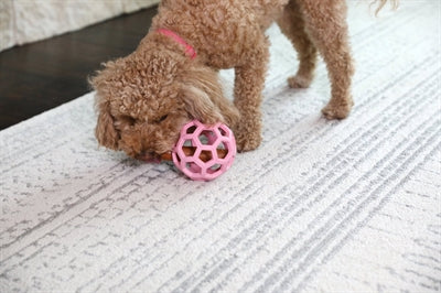 Jw hol-ee rulle trend-ee pink