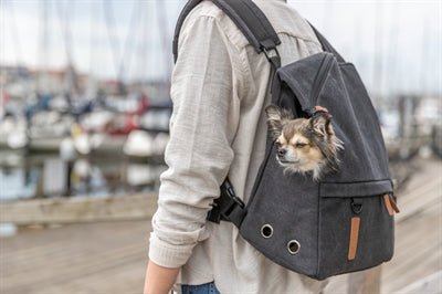 Trixie be nordisk hundetaske rygsæk bjorn sort