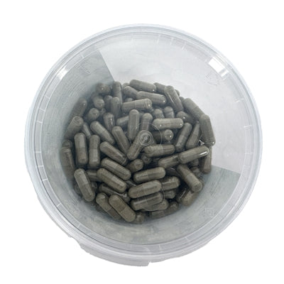 Animal drug store resorption af fostre føtal resorption
