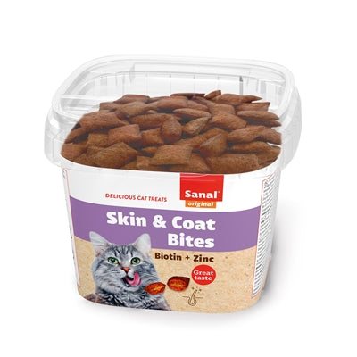 Sanal kat hud pels bider kop