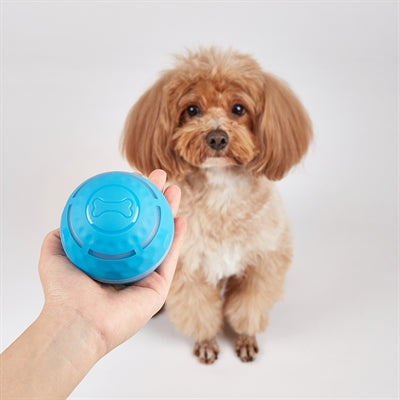 Fofos genopladelig rullebold til hunde