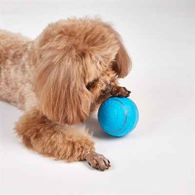 Fofos genopladelig rullebold til hunde