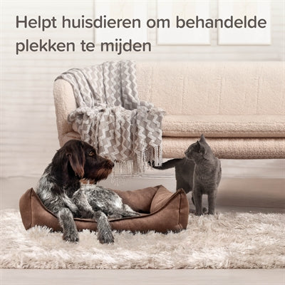 Beaphar hold spray kattehund indendørs