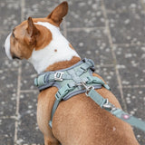 Trixie hundesele premium flexmesh salviegrøn med bred brystkasse