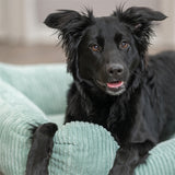 Trixie hundeseng jonna vital ribbet stof salviegrøn