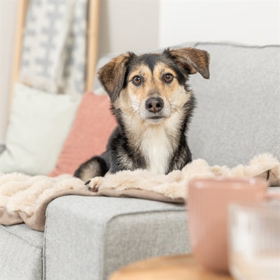 Trixie hundetæppe elli sand