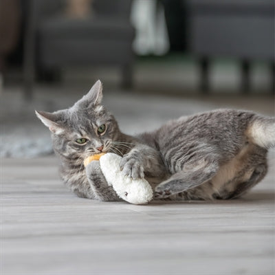 Trixie søvnigt ansigt med catnip plys assorteret