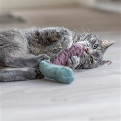 Trixie legepuderulle med katteurt assorteret