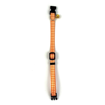 Glat kæledyr tabby patch krave kat diamant orange