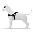 Morso norsk hundesele genbrugt renhed sort
