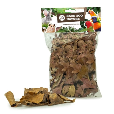 Tilbage zoo naturopdagelse blade