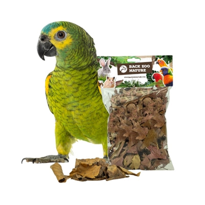 Tilbage zoo naturopdagelse blade