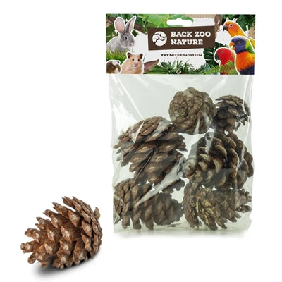 Tilbage zoo natur fyrrekogler