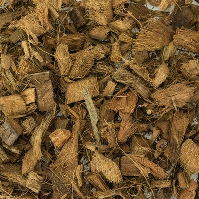 Tilbage zoo naturopdagelse sengetøj