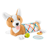 Fisher Price 3in1 Puppy Belly Lesterinde