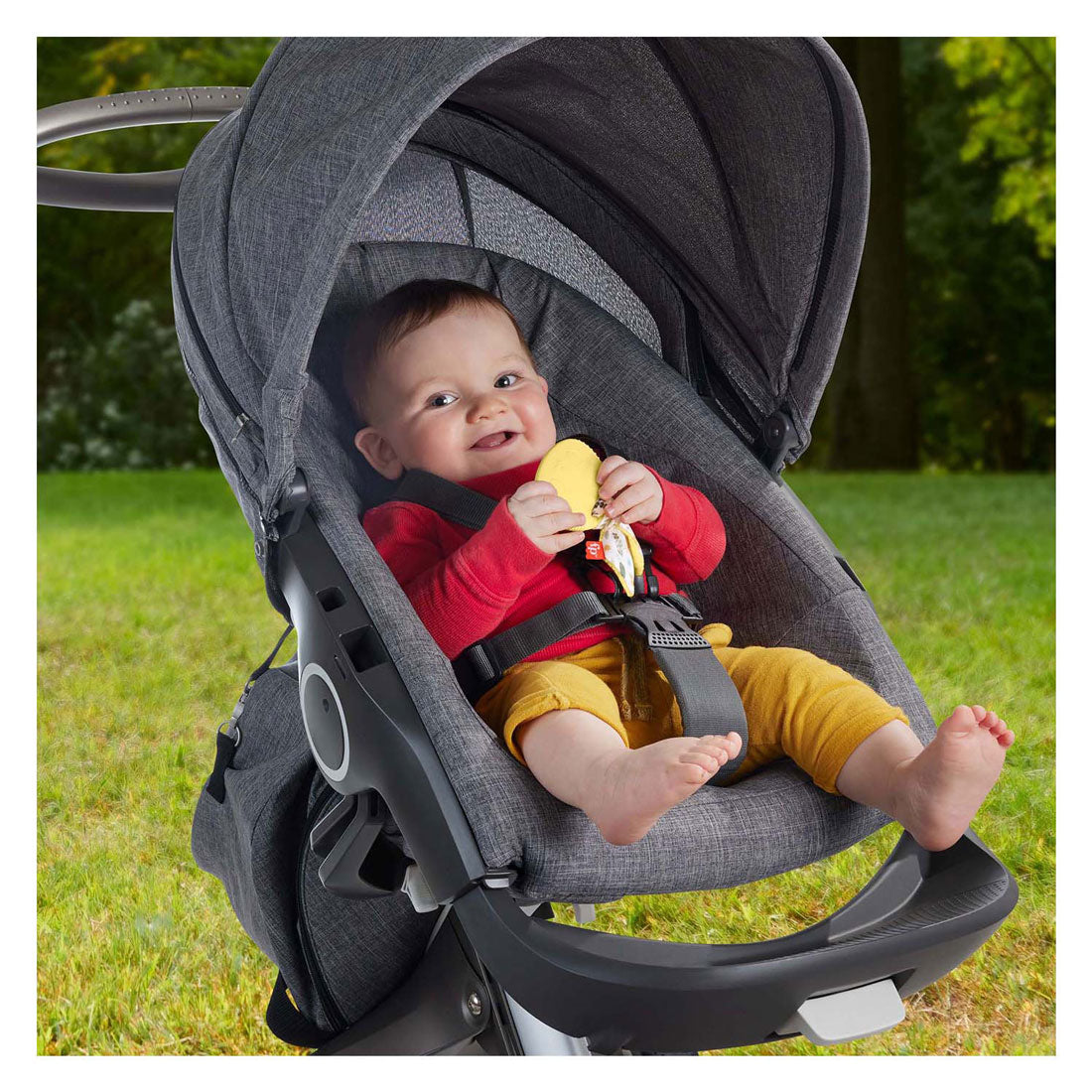 Fisher price bid rangle kanin