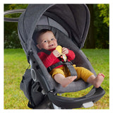 Fisher price bid rangle kanin