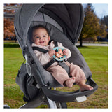 Fisher price bid rangle axeloth