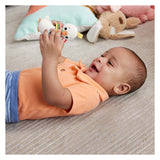 Fisher price bid rangle and