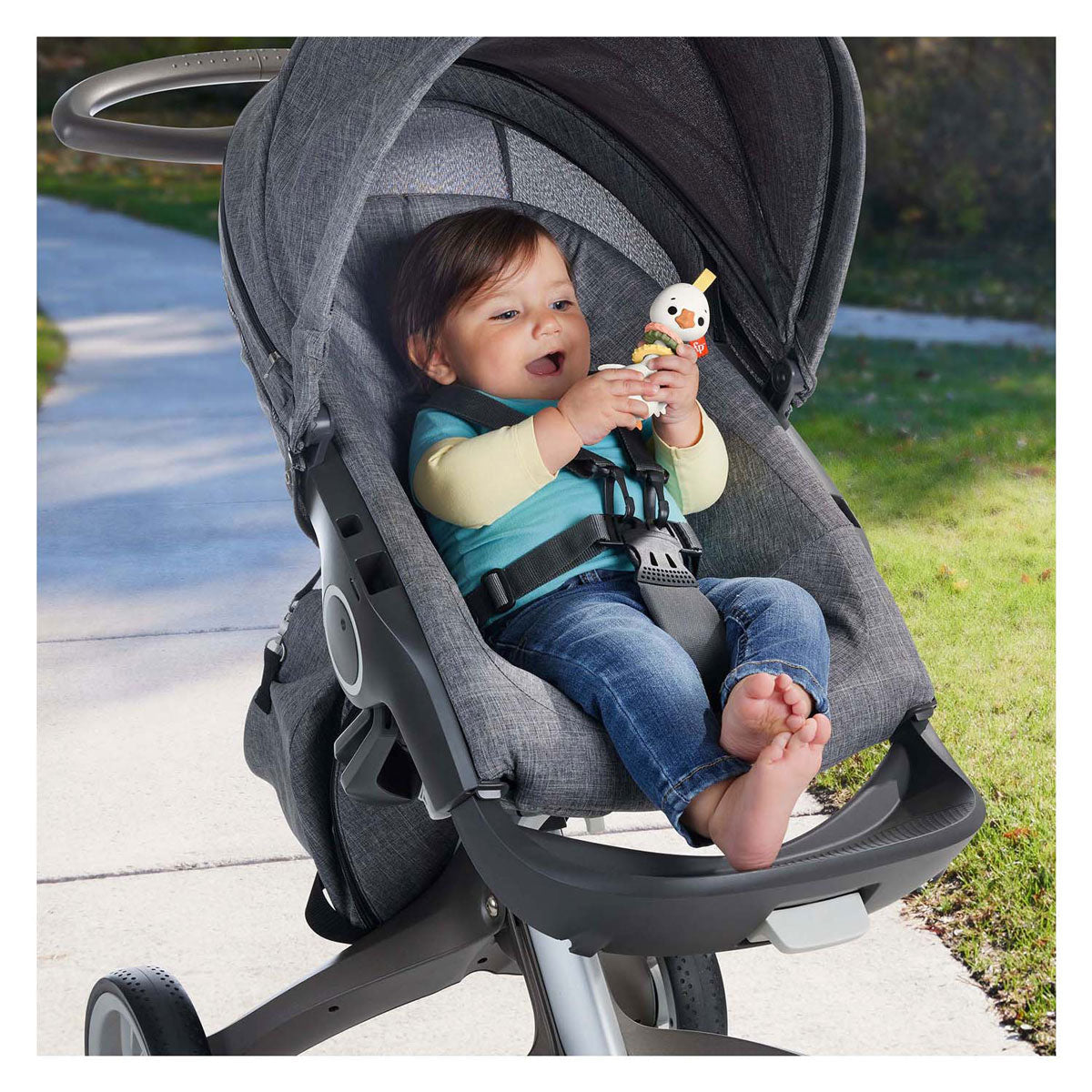 Fisher price bid rangle and