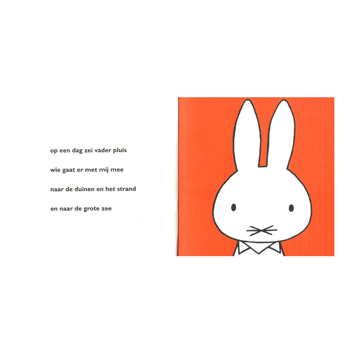 Central boghus Miffy ved havet