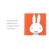 Central boghus Miffy ved havet