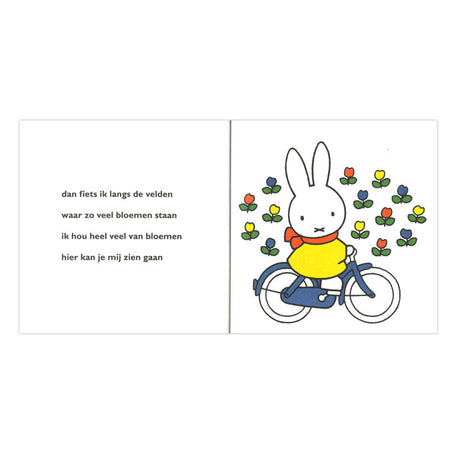 Central boghus Miffy på cykel