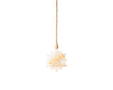 Lumineo micro LED stjerne med tørrede blomster ø 19cm