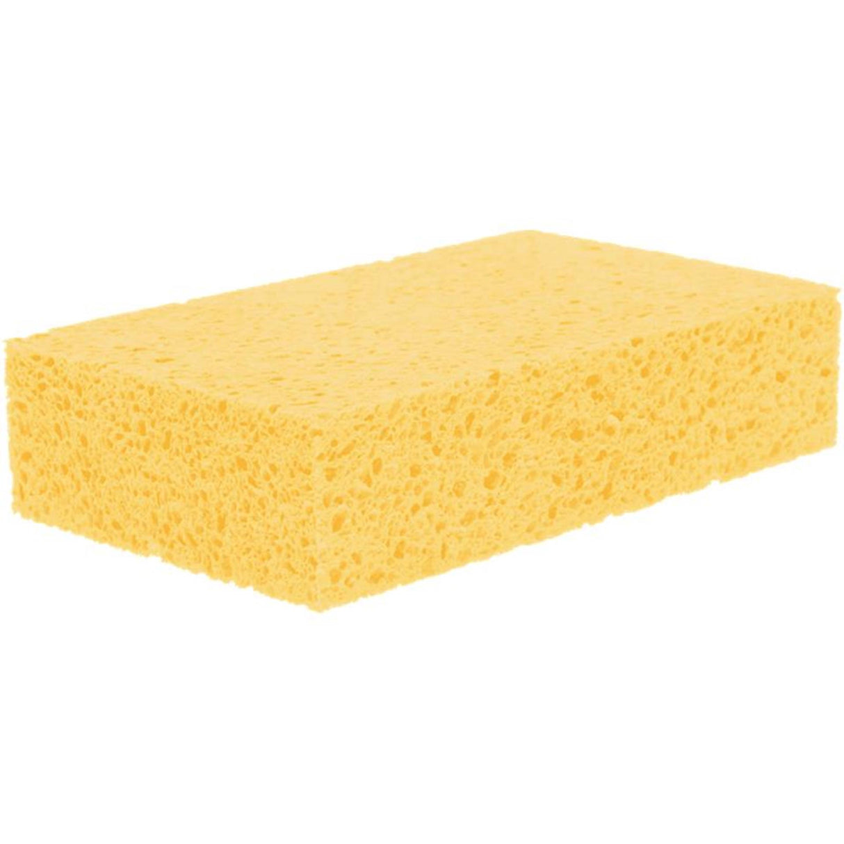 Sorbo svamp viskose stor 16,5x10x4cm