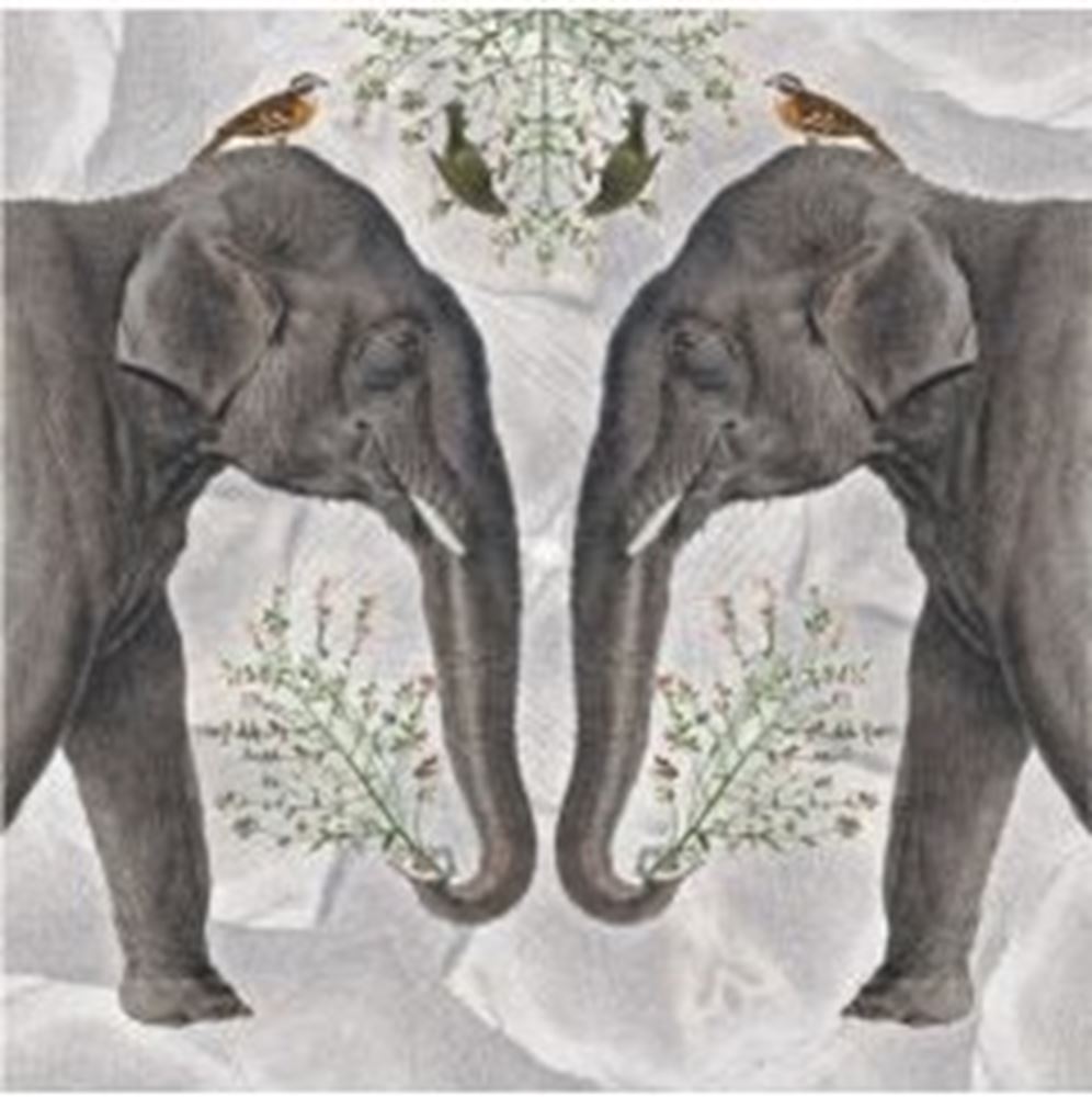 Kort+kuvert indisk elefant. 16x16 cm