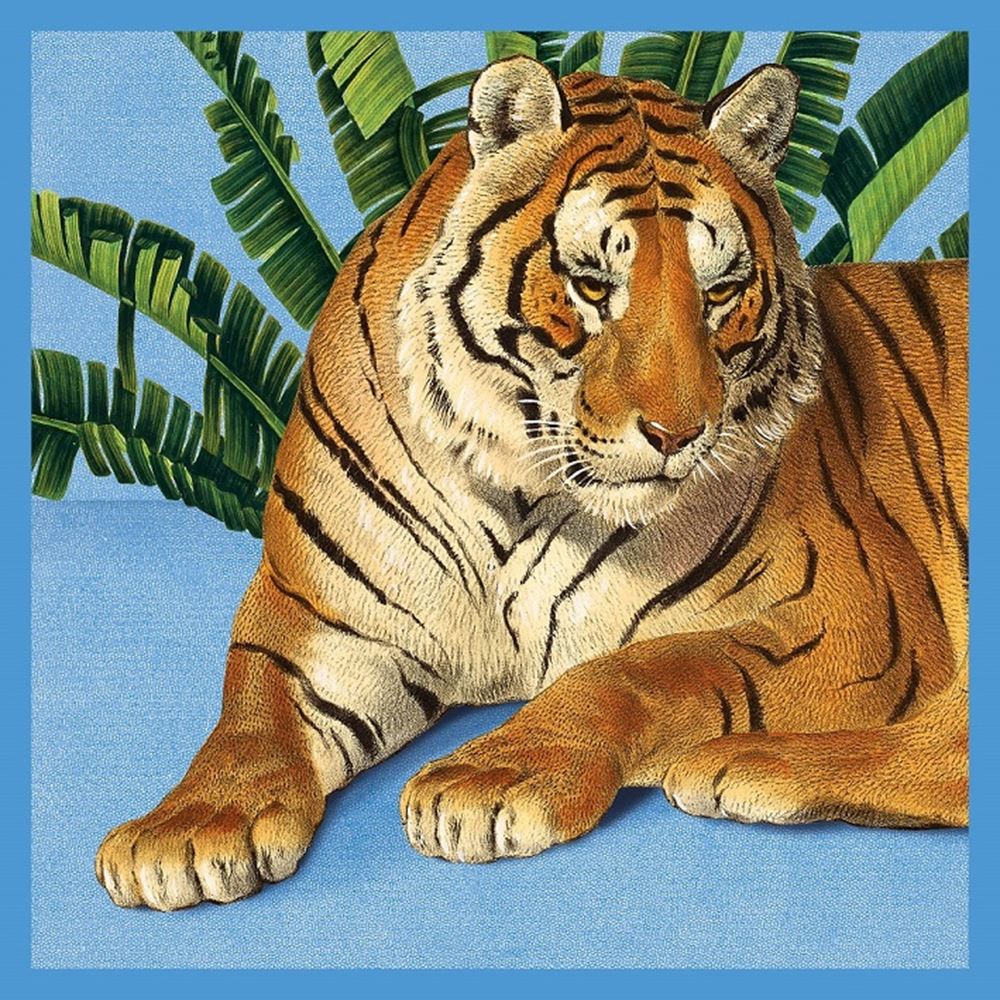 Kort+kuvert tiger. 16x16 cm