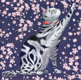 Kort+kuvert. sakura kitty. 16x16 cm