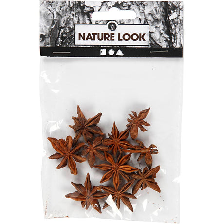 Creativ virksomhed https: www.cchobby.nl star-anise-10-piece-1-box