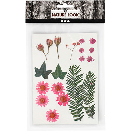 Creativ virksomhed https: www.cchobby.nl tørrede-blomster-og-blade-ca-19-piece-lightred-1-box