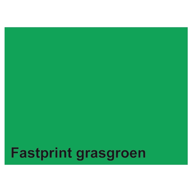 Quantore kopipapir fastprint a4 160gr græsgrøn 50 ark
