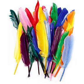 Https: www.cchobby.nl feathers-l-17-20-cm-250-piece-1-box