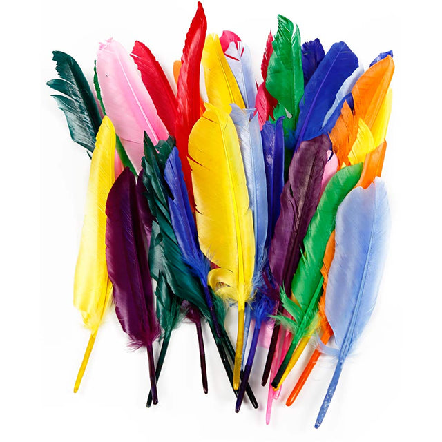 Https: www.cchobby.nl feathers-l-17-20-cm-250-piece-1-box