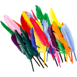 Https: www.cchobby.nl feathers-l-17-20-cm-250-piece-1-box