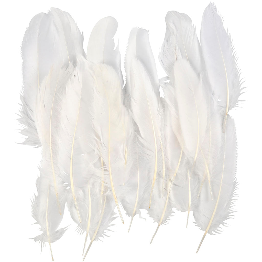 Https: www.cchobby.nl feathers-ca-10-18-cm-white-350-piece-1-box