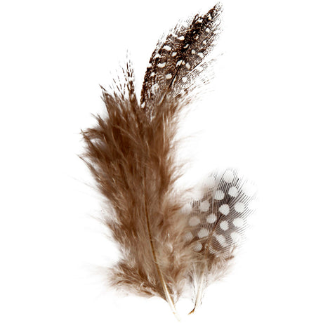 Creativ virksomhed https: www.cchobby.nl feathers-of-pearl-fowl-ca-100-piece-brown-3-gr-1-doos
