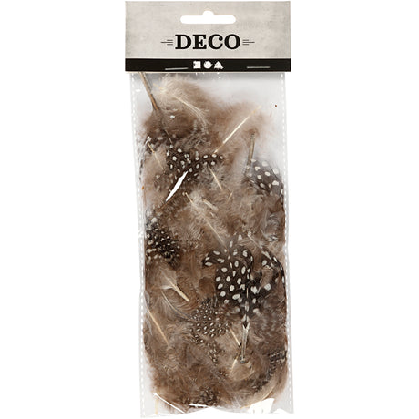 Creativ virksomhed https: www.cchobby.nl feathers-of-pearl-fowl-ca-100-piece-brown-3-gr-1-doos
