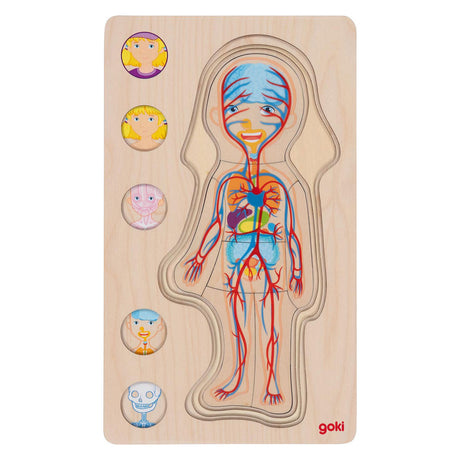 Goki Wood Layer Puzzle Human Body Girl, 29 ..