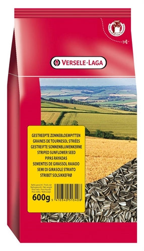 Versele-laga prestige stribede solsikkefrø