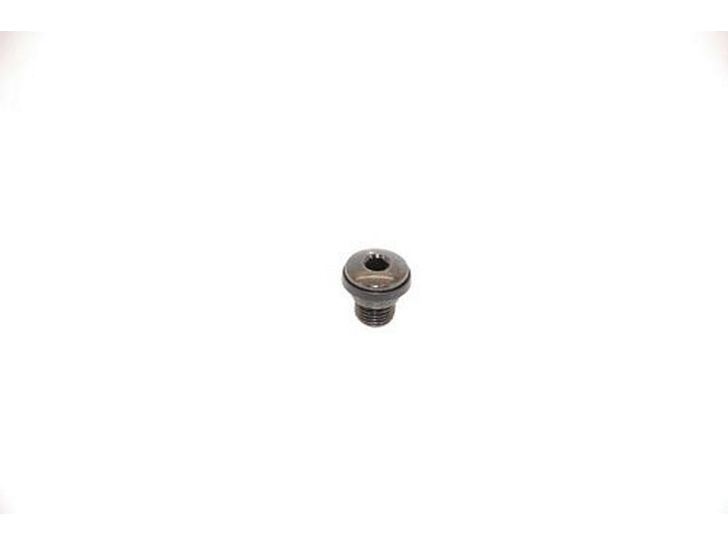 Shimano polstring bolt