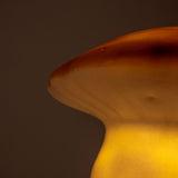 Egmont lampe svampechokolade + lysdæmper