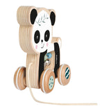 Eichhorn træ trækdyr panda