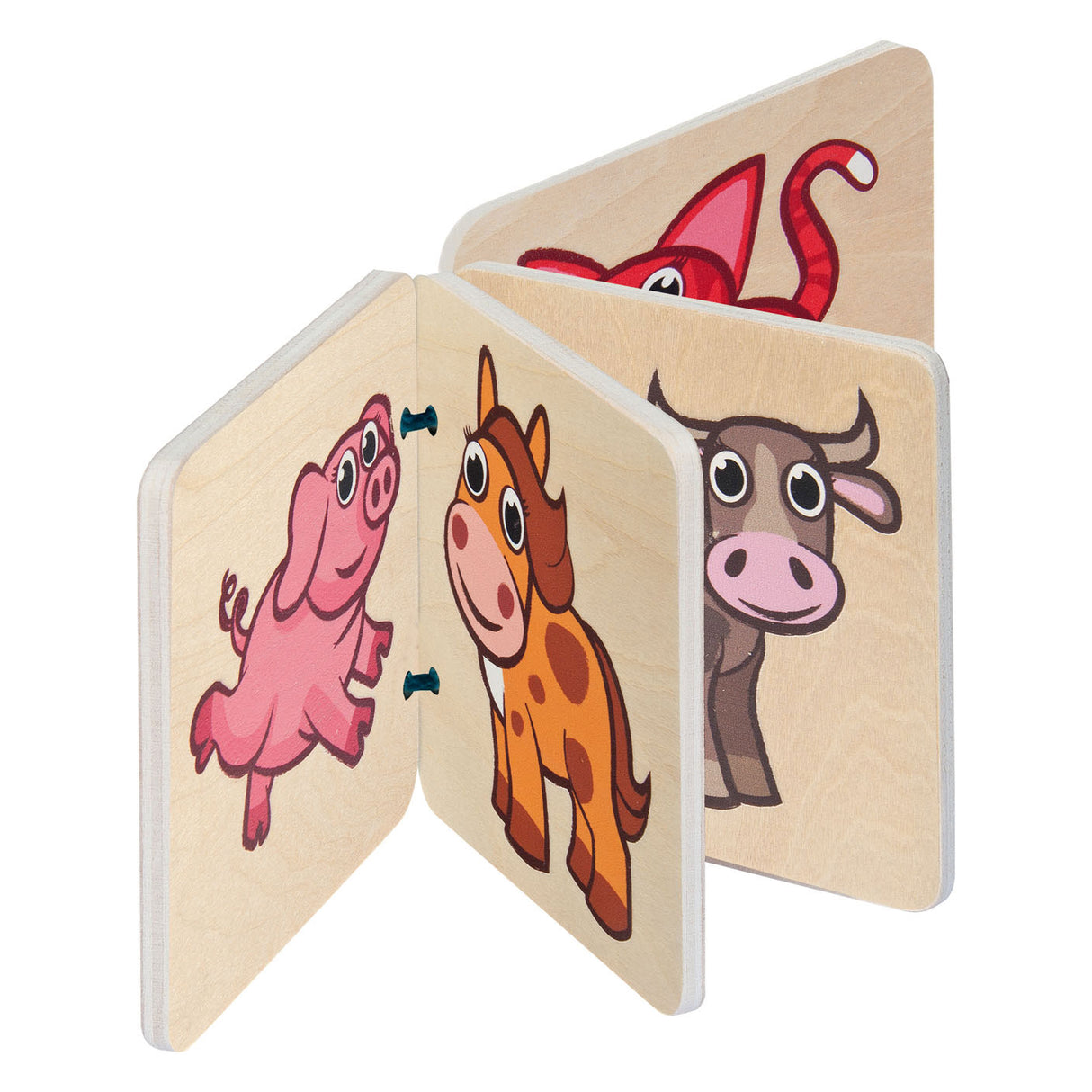 Eichhorn Wood Book